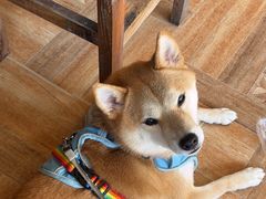 -香竹农庄•传统竹筒饭(十年店)