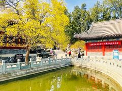 -香山公园