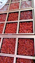 -华林国际玉器城(康王中路)