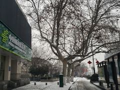-清真·西北桥头拉面大王(丁家桥店)