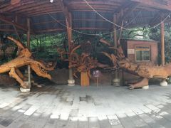 -昆明青龙峡风景区