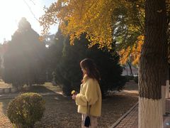 -辽宁大学(崇山校区)