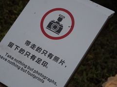 -同里国家湿地公园