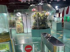 -上海大自然野生昆虫馆(东方明珠·爬宠昆虫探索中心)