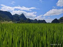 -万峰林风景区