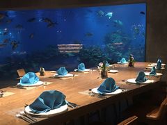 -海棠湾洲际-涛·海底餐厅·美人鱼·自助餐·海底隧道
