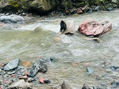 -西岭雪山大飞水景区