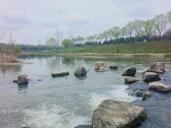 -洨河生态公园