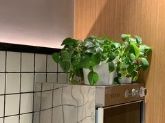 -无限双拼照烧双拼饭(和平店)