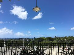 景观位-Bubba Gump Shrimp(Ala Moana)