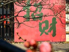 -香雪海