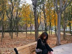 -山东艺术学院(长清校区)