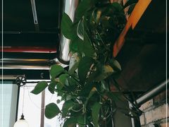 -管氏翅吧(广渠门店)