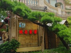 -叶叶菩提(太原别墅店)