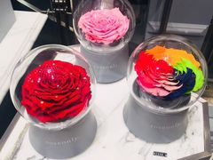 -ROSEONLY诺誓(国际广场购物中心店)