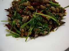 -小海丁