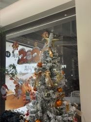 -普洛蒂亚·科技美肤中心