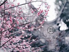 -中国昆曲博物馆
