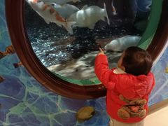 -成都浩海立方海洋公园