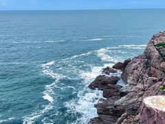 -广东惠东海龟国家级自然保护区