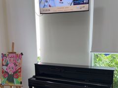 -小荧星艺校(浦东中环分校)