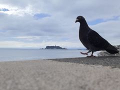 -灌篮高手动画打卡地