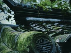 -国家植物园