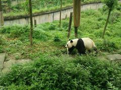 碧峰峡-碧峰峡风景区