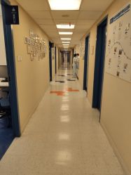 -杭州贝瑞斯美华妇儿医院·早孕·产检·儿科