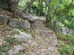 -杭州半山国家森林公园