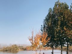 -东郊湿地公园