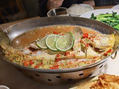 -佬肥猫(国华广场店)