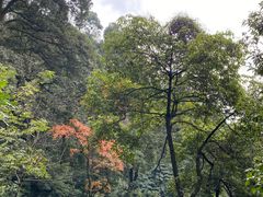-青城山