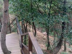 -沂蒙山旅游区云蒙景区(蒙山国家森林公园)