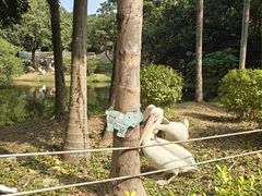 -深圳野生动物园