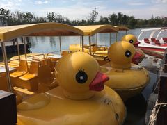 -上海长兴岛郊野公园