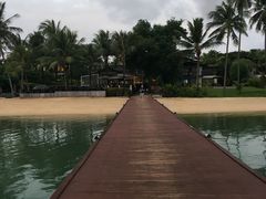 -椰树岛海滩度假村