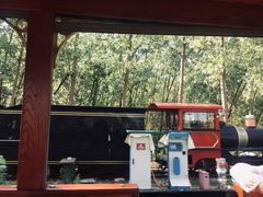 -合肥滨湖国家森林公园