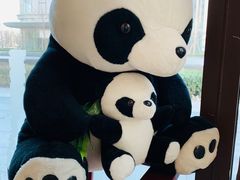 -ZOO COFFEE动物园咖啡(望京锐创店)