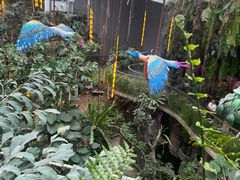 -正佳雨林生态植物园