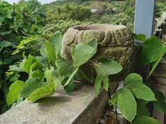 -亮河湾山庄