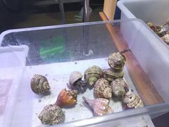 -中环花鸟鱼虫市场