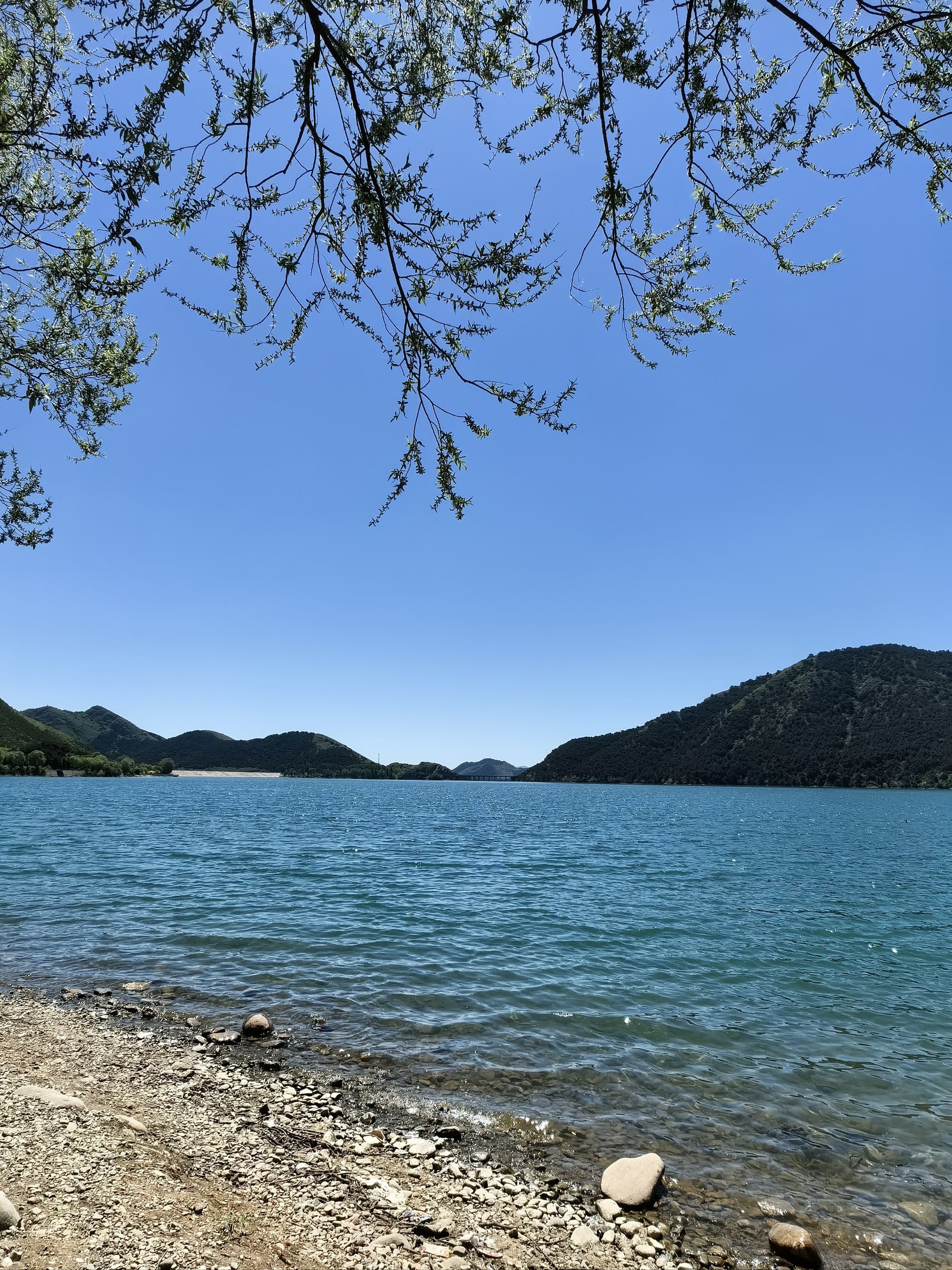 n
位置:在清东陵南边龙门口水库,直接导航龙门湖露营基地,跟着