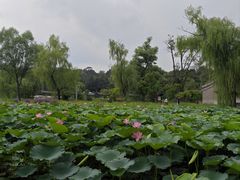 -承德避暑山庄景区