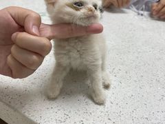 -宠颐生动物医院·小陆分院