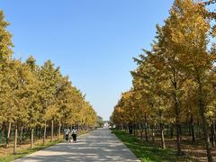 -汉景帝阳陵博物院