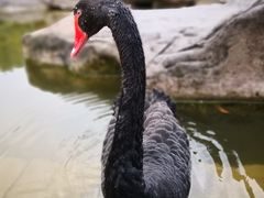 -两江国际影视城