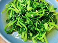 鸡毛菜-树下时尚餐厅(翠园街店)