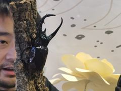 -燕莎友谊商城(亮马桥店)
