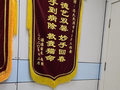 -中农国际动物医院24小时·猫科·骨科·急重症中心